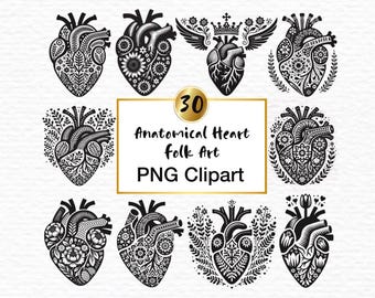 30 Anatomical Heart Clipart: Folk Art Floral PNG Overlays (Digital Download)