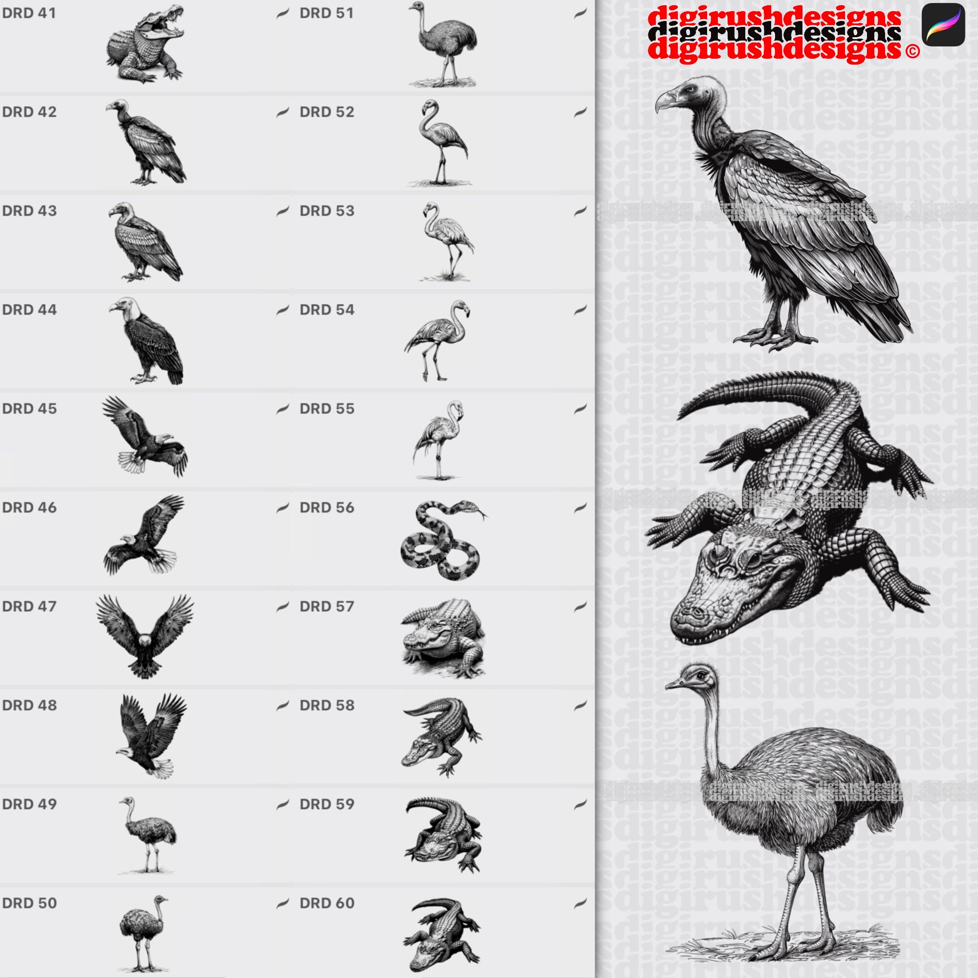 Safari Animals Procreate Stamps Wild Animals Procreate Brush Set Jungle