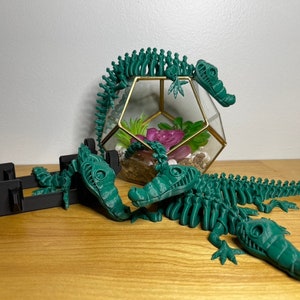 Flexible, Articulating Unique 3D Printed Skeleton Crocodile- Multi Size, Color