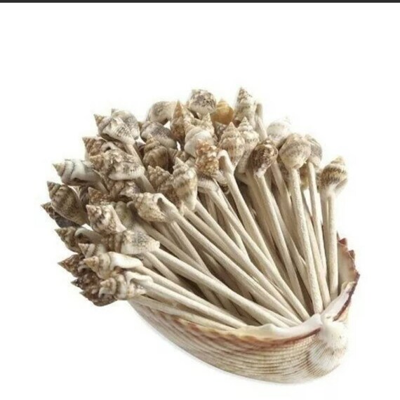 Seashell Toothpick Wedding Decorations Pack of 100 | Etsy