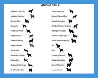 Herding Group Ornaments/Magnets, Herding Dogs, Shepherd Dogs, Cattle Dogs, Personalized Ornament/Magnet, Pet Portrait, Dog Portrait