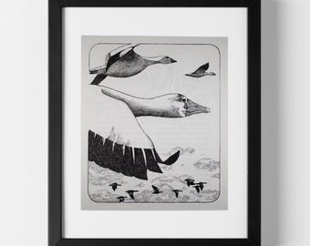 Birdman – Vintage Hitchcock Illustration (1976)