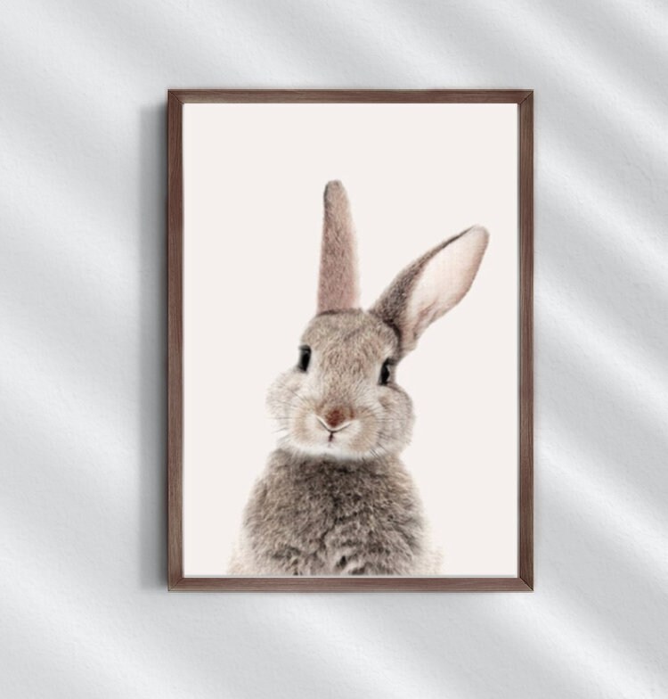 DMZPKZB Wandbild Leinwand – Lustiges Kätzchen Mit Teetasse Auf Sofa, Grau, 50x70 Cm, Ungerahmt