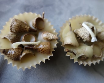 Beeswax Acorn Fire Starter