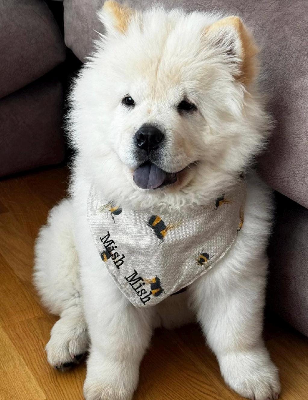Boonie Chow Chow Bandana Buy Chow Chow Bandana Online In India India