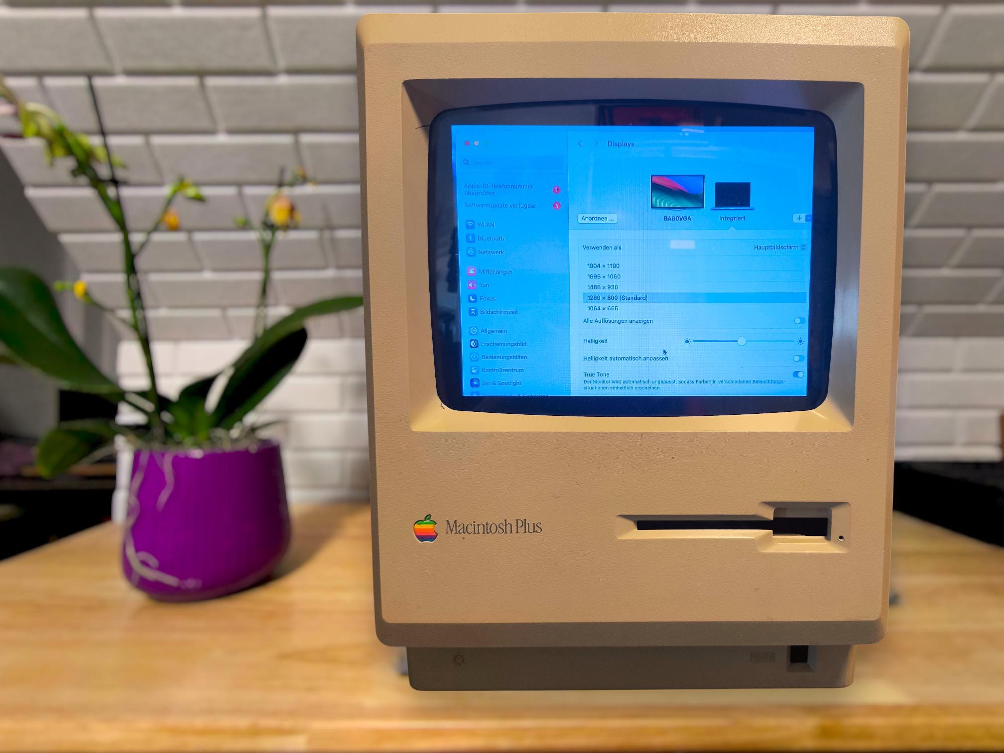 Macintosh plus - Etsy 日本