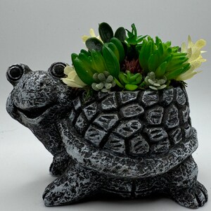 May include: A gray ceramic turtle planter with a smiling face, holding a variety of green succulents and white flowers.