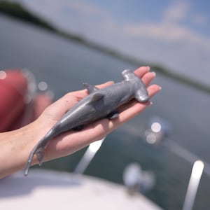 以下が含まれることがあります： 人の手に持たれた銀色のハンマーヘッドシャークのおもちゃ。おもちゃは、ひれとハンマーヘッドの形で詳細に作られています。