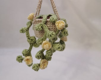 Plante succulente retombante, amigurumi kawaii fait main au crochet