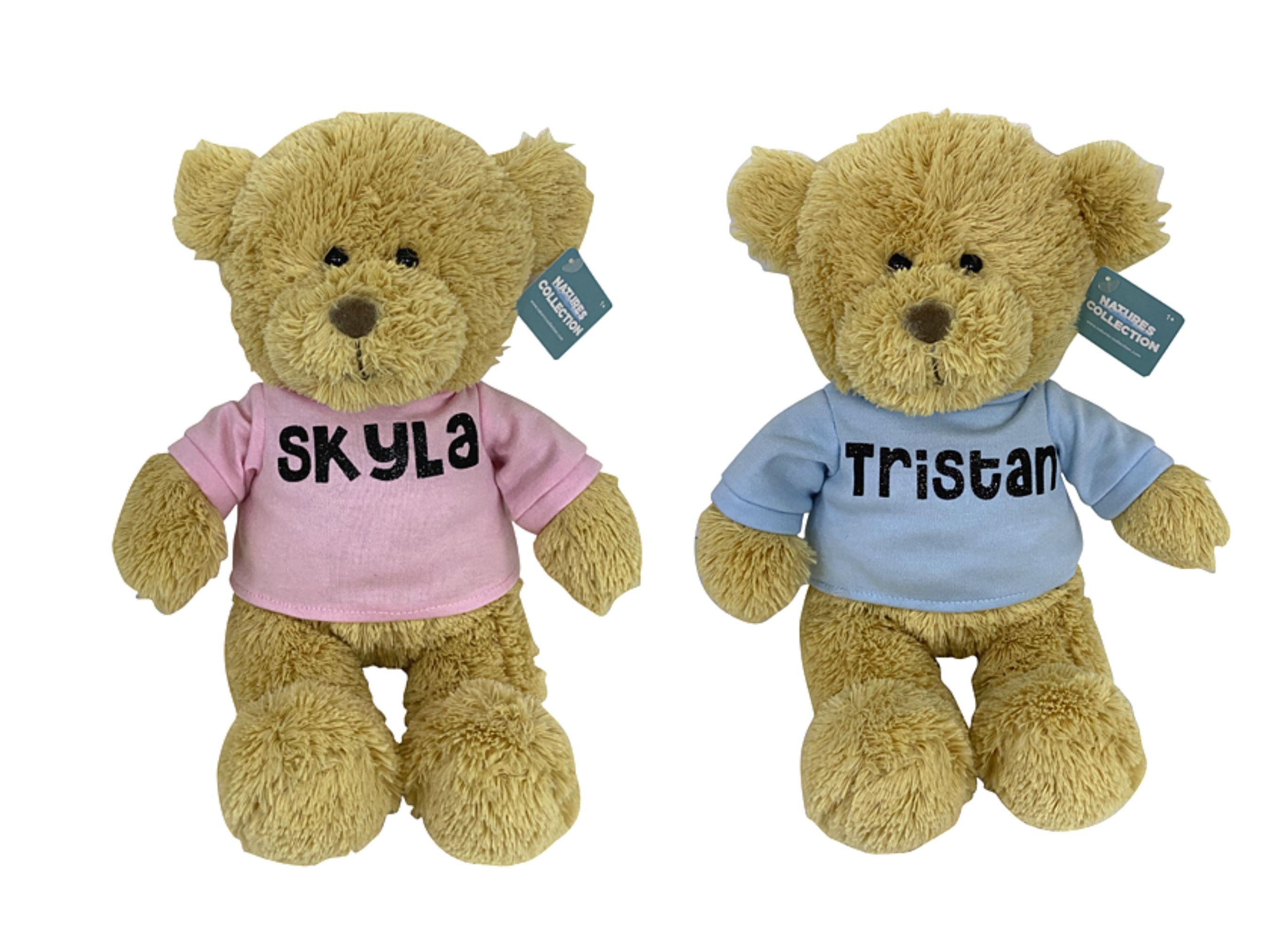 Personalised Teddy Bear - Our Little Star