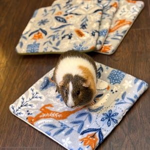 May include: A tricolor guinea pig with white, brown, and black fur sits on a square, light blue fleece pad featuring a repeating pattern of orange flowers, blue leaves, and white snowflakes. Three additional identical fleece pads are stacked behind.