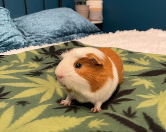 Revêtement de cage personnalisé C&C pour cochons d'Inde, double polaire U-Haul, fabriqué sur commande