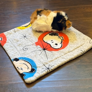 May include: A tricolor guinea pig with white, black, and brown fur sits on a square, light gray fleece pad. The pad features a repeating pattern of Snoopy and Charlie Brown faces inside orange and blue circles, accented by black starburst designs.