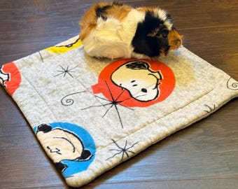 Coussinets pour cochons d'Inde 18 x 18", fabriqués sur commande