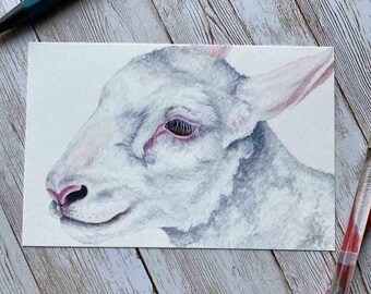 White Lamb Art Print