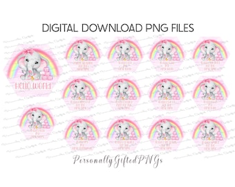 Baby Milestone Elephant & Rainbow Pink Design Bundle Digital Download, 14 PNGs, Hexagonal Baby Milestone Events Sublimation, Baby Mile Stone