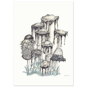 Shaggy Ink Cap Mushroom Art | Original Mixed Media Fine Art Print | Eco-Friendly Giclée Poster