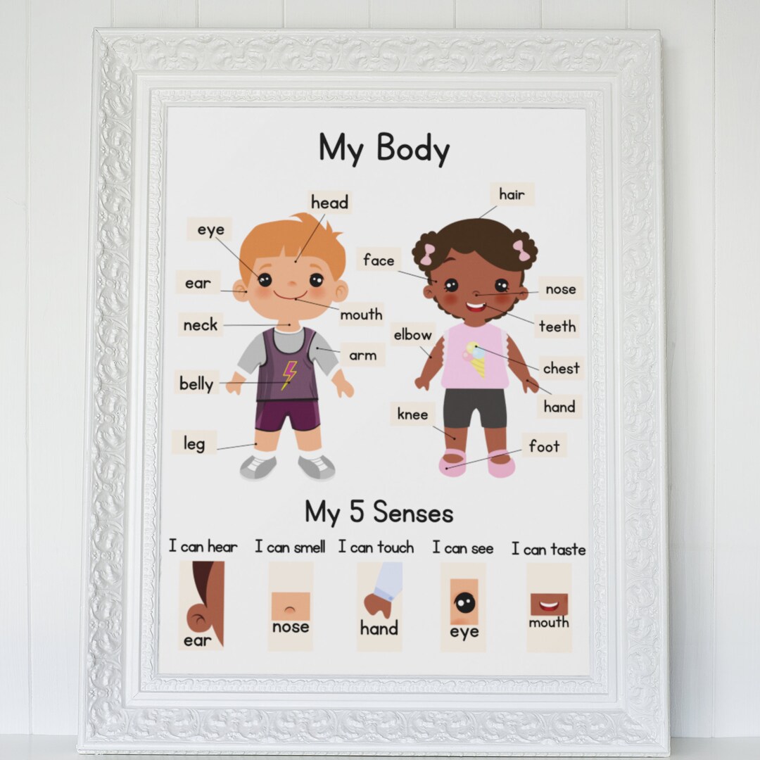 Body Parts Printable, Nursery Decor, Printable Montessori, Printable ...