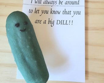 Emotional support pickle, Worry buddy, pocket hug, anti anxiety, fidget toy, positive pickle, best friend gift, mom gift