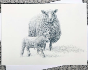 Wonderful Sheep Card! Beautiful Pencil Drawing of a Ewe and Lamb on a Quality Greeting Card. Blank Inside and Beautiful Outside!
