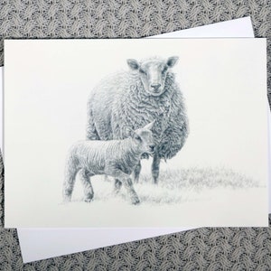 Merveilleuse carte de moutons ! Beau dessin au crayon d'une brebis et d'un agneau sur une carte de voeux de qualité. Blanc à l'intérieur et beau à l'extérieur !