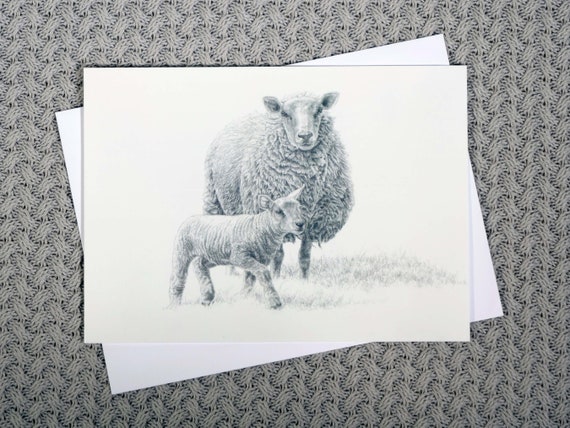 Wonderful Sheep Card! Beautiful Pencil Drawing of a Ewe and Lamb on a Quality Greeting Card. Blank Inside and Beautiful Outside!
