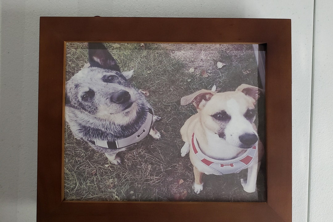 Handgun Concealment Picture Frame: Magnetic Closure, 8x10 Photo - Etsy