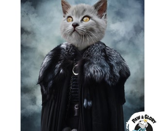 Game of thrones cat costume hotsell