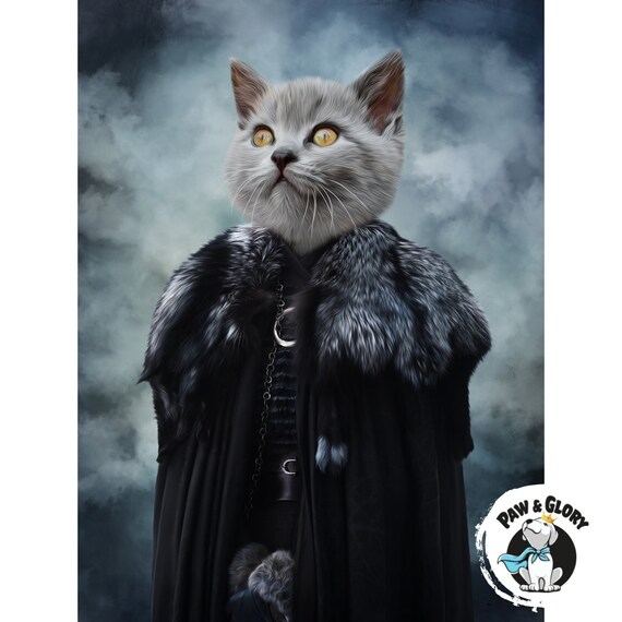 Cat game of thrones costume hotsell