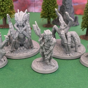 Giant Bug Monsters | 28 mm (D&D) | Giant Insects, Spider, Ankheg, Beetle Digger and Ettercap | Tabletop RPG