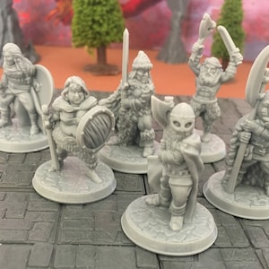 Wikinger Krieger | 28 mm (D&D) Nordische Armee | Tabletop-Rollenspiel