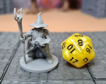 Dwarf Wizard | 28mm (D&D) | Hero/NPC Miniature | Tabletop RPG