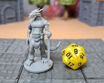 Dragonborn Barbarian with sword | 28mm (D&D) Dragonborn Barbarian | Tabletop RPG