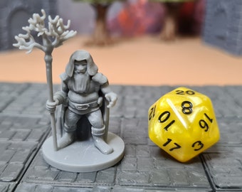 Dwarf Druid | 28mm (D&D) | Hero/NPC Miniature | Tabletop RPG