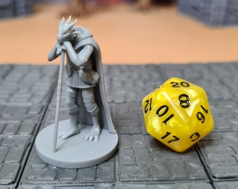 Dragonborn Druid with Staff | 28mm (D&D) Dragonborn Barbarian | Tabletop RPG