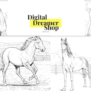 100 Horse Coloring Pages (PDF Download) Printable