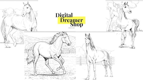 100 horse coloring pages pdf download printable etsy