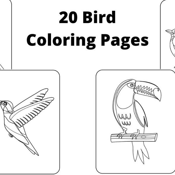 20 Bird Coloring Pages (digital download)