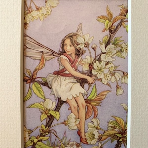 Vintage mounted &quot;Flower Fairy&quot; illustration by Cicely Mary Barker from 1952