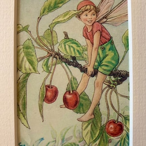 Vintage mounted &quot;Flower Fairy&quot; illustration by Cicely Mary Barker from 1952