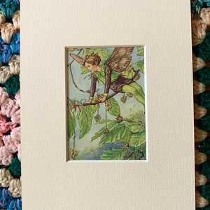 Vintage mounted &quot;Flower Fairy&quot; illustration by Cicely Mary Barker from 1952
