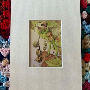 Vintage mounted &quot;Flower Fairy&quot; illustration by Cicely Mary Barker from 1952