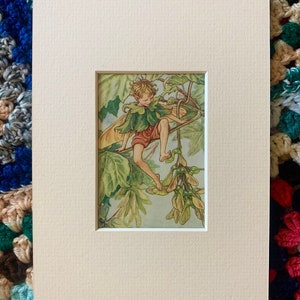 Vintage mounted &quot;Flower Fairy&quot; illustration by Cicely Mary Barker from 1952