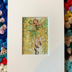Vintage mounted &quot;Flower Fairy&quot; illustration by Cicely Mary Barker from 1952