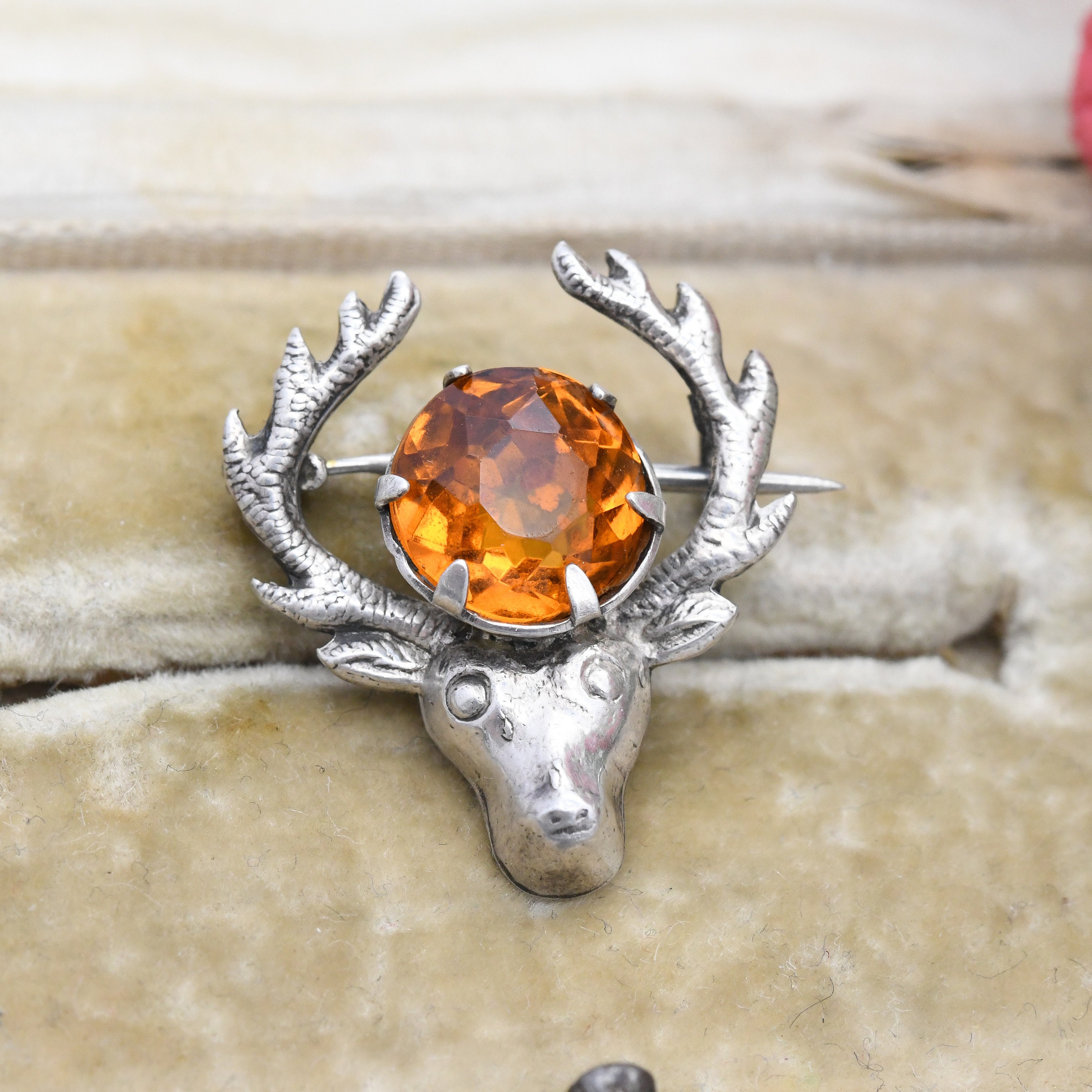 Broche Argent Croc De Cerf - Style Taxidermie - Neuf Avec étiquettes - Bijou Original Et Naturel