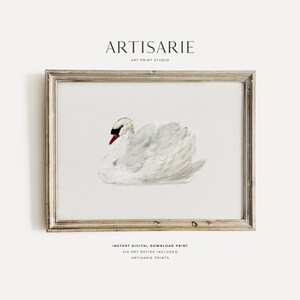 Vintage Swan Print, Neutral Nursery Art Decoration, Nursery Vintage Art Decorating, Swan Printable, Vintage Swan Painting, Vintage Swan Art