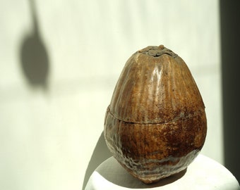 Unusual Coconut African Ice Bucket.