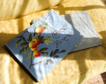 RESERVED____ RARE Antique Art Deco French Post Cards Album.
