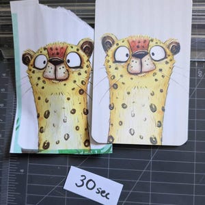 May include: Two rectangular cards featuring a cartoon illustration of a yellow cheetah with large white eyes, a dark nose, and black spots. One card has a torn top edge, and a small white rectangular paper label with the text 30 sec is placed below.