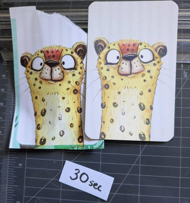 May include: Two rectangular cards featuring a cartoon illustration of a yellow cheetah with large white eyes, a dark nose, and black spots. One card has a torn top edge, and a small white rectangular paper label with the text 30 sec is placed below.